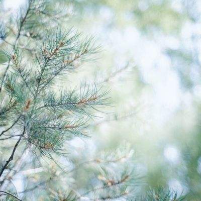 半岛综合app官网版登录